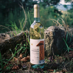 Vinho Verde Branco Quinta da Samoça Escolha, com sabor suave e delicado, perfeito para entradas e pratos de peixe.