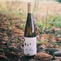 Vinho Verde Branco Vinhas d'Ariz, de cor dourada e frescor vibrante, perfeito para pratos leves e saladas.