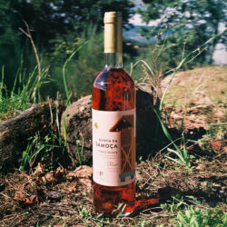 Vinho Verde Rosé Quinta da Samoça, com aromas frutados de citrinos e maçã, ideal para acompanhar peixe e carnes grelhadas.