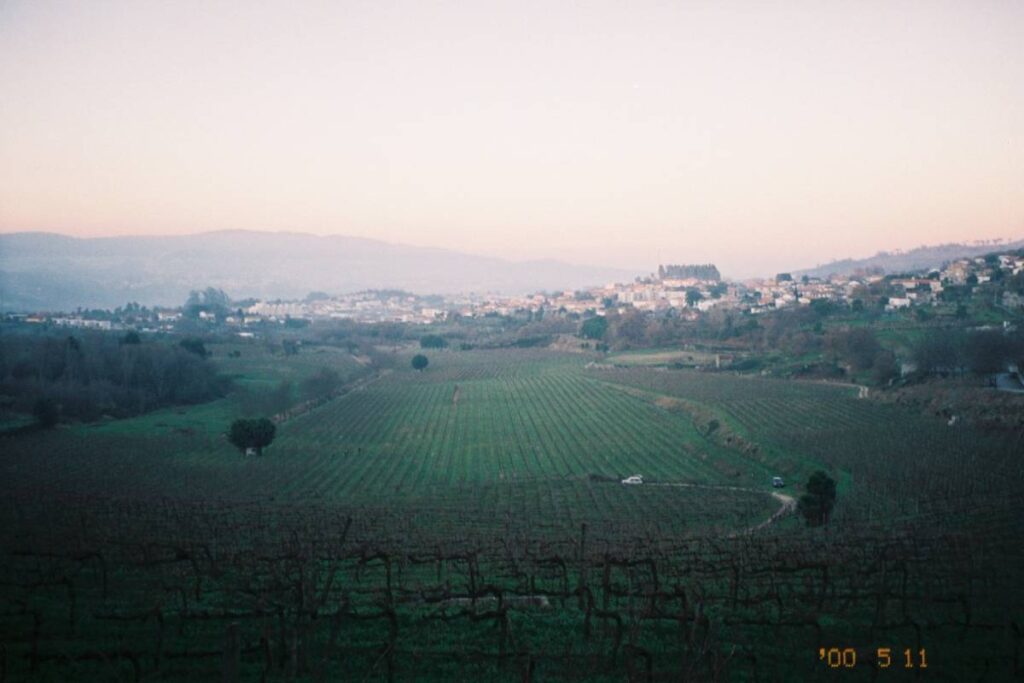 Vista panorâmica das vinhas verdes da Quinta da Samoça com colinas ao fundo e luz suave do entardecer.